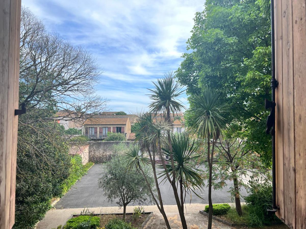 Cote Jardin Est Un Spacieux Et Lumineux T3, Entierement Renove, A 2 Pas De L'Herault Et A 10Min Du Bord De Mer Proche Du Centre Historique Et Du Fabuleux Chateau Laurens, Vous Apprecierez Le Calme De Sa Belle Terrasse Et La Vue Superbe Sur Le Jardin Agde Extérieur photo